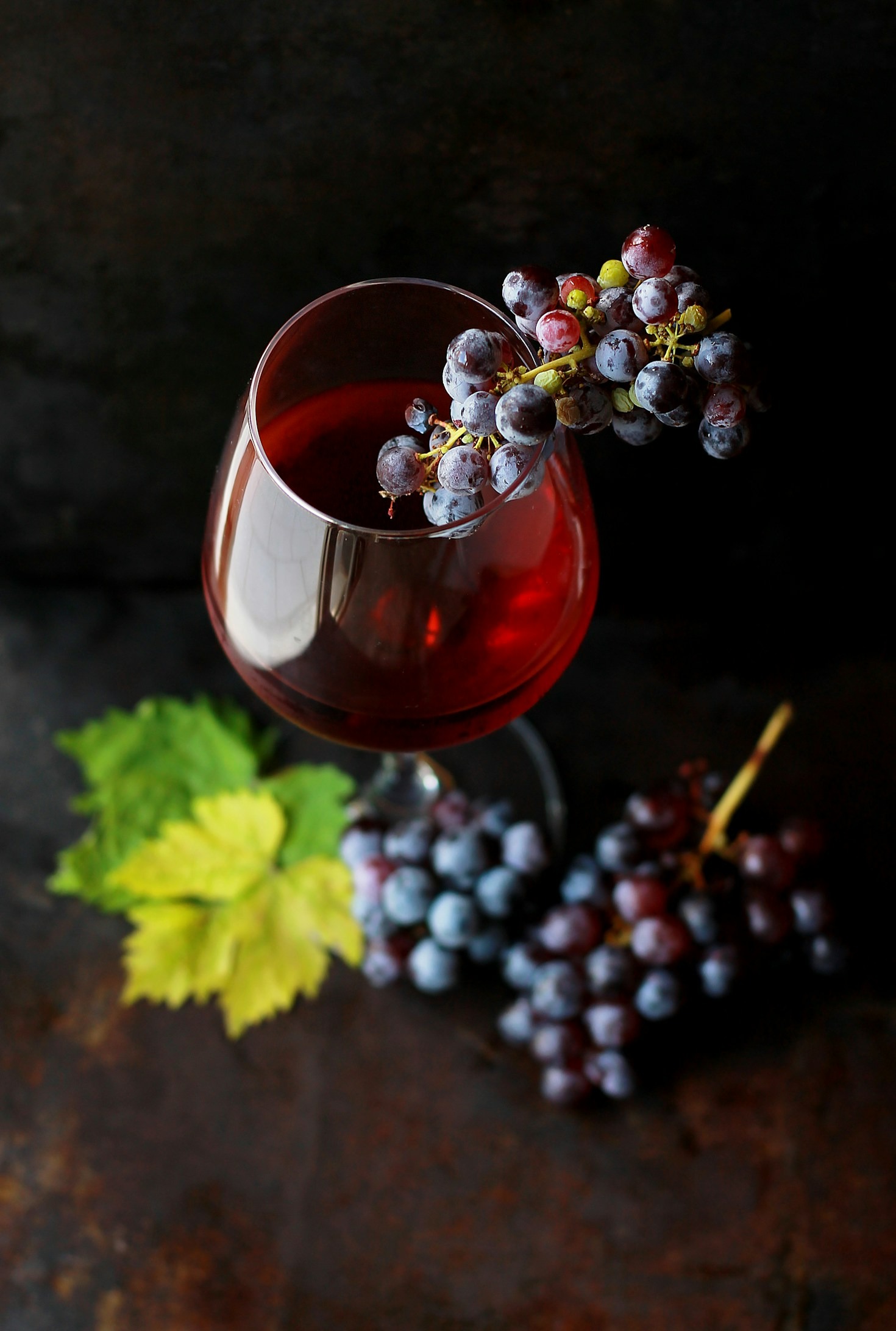 Guida ai vini pregiati vicino Dogliani