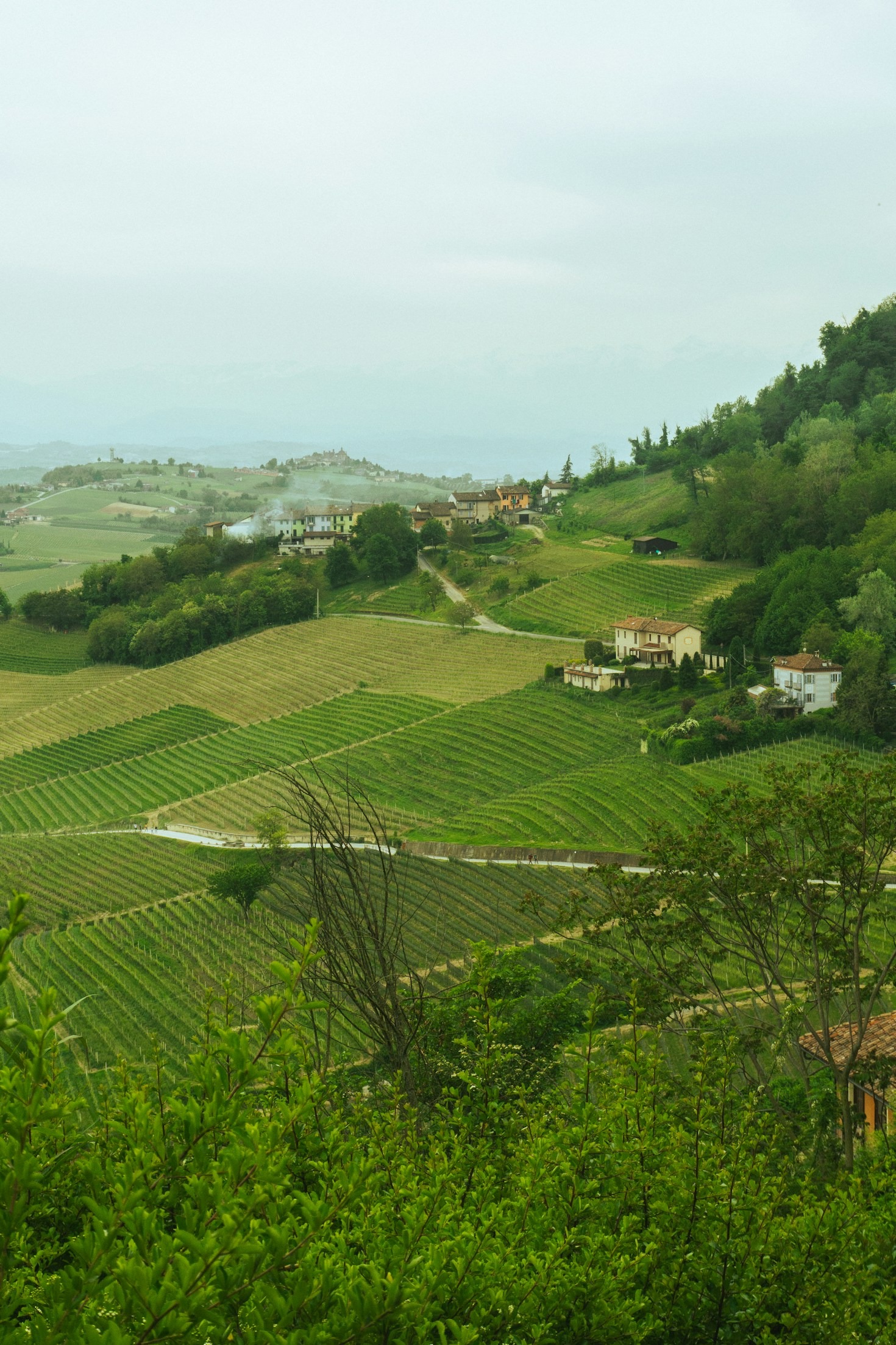 Cosa vedere a Murazzano in un weekend